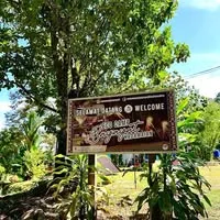 Eco Camp Bayayat Kadamaian campsite photo