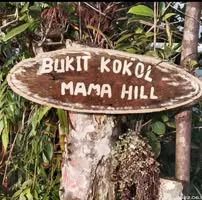 Kota Kinabalu campsite preview 2