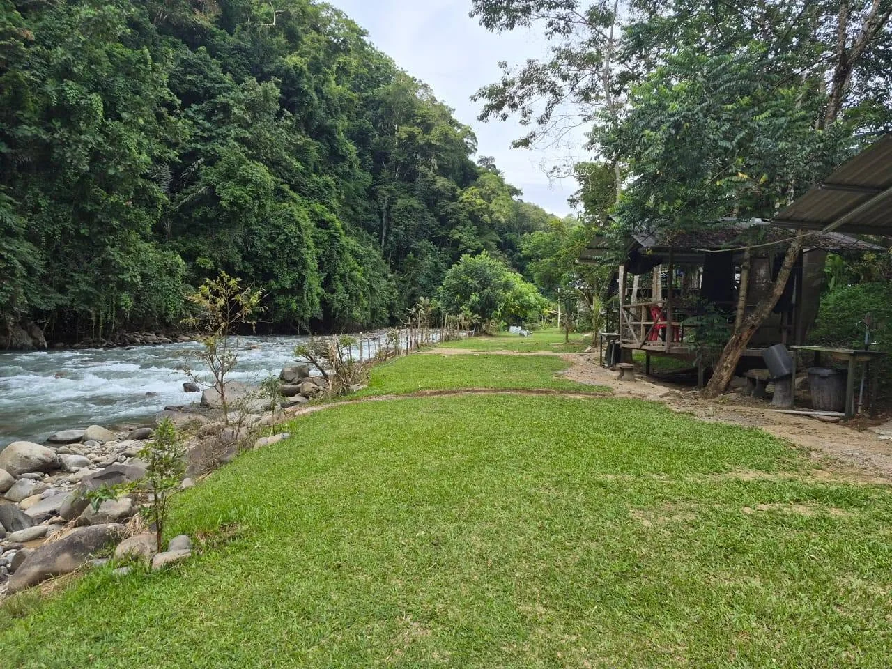 Kuriou Lodge & Campsite campsite photo