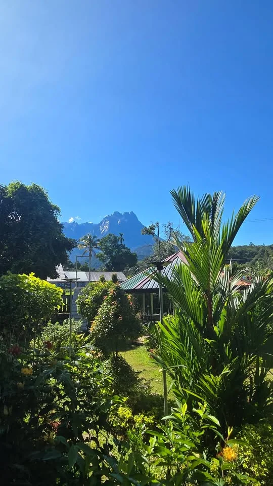 Nulinau Glamping Garden campsite photo