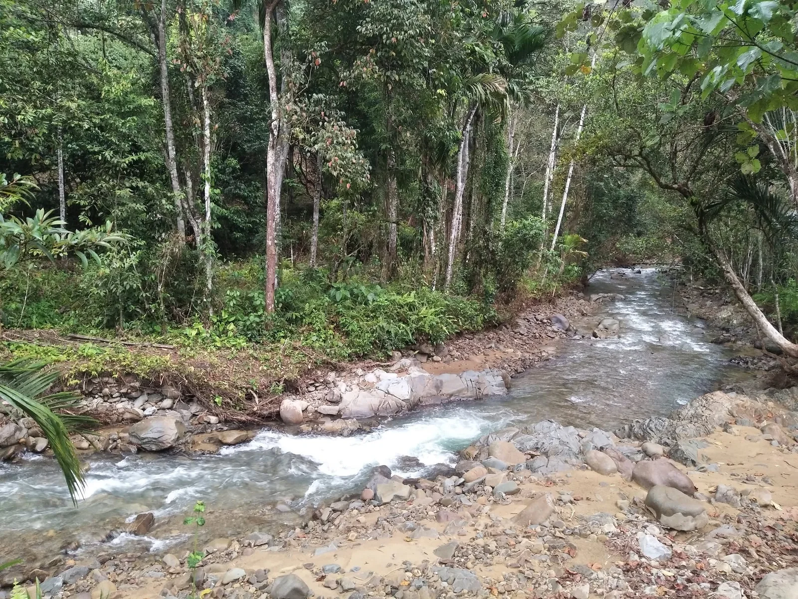 Ponompuhuyan Sinompuruan Campsite campsite photo