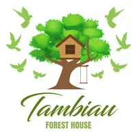 Tambiau Forest campsite photo