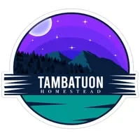 Tambutuon Homestead campsite photo