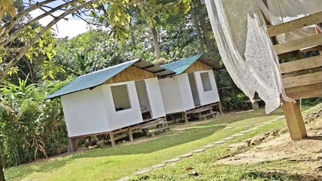 Utan Paradise Jungle Camp campsite photo